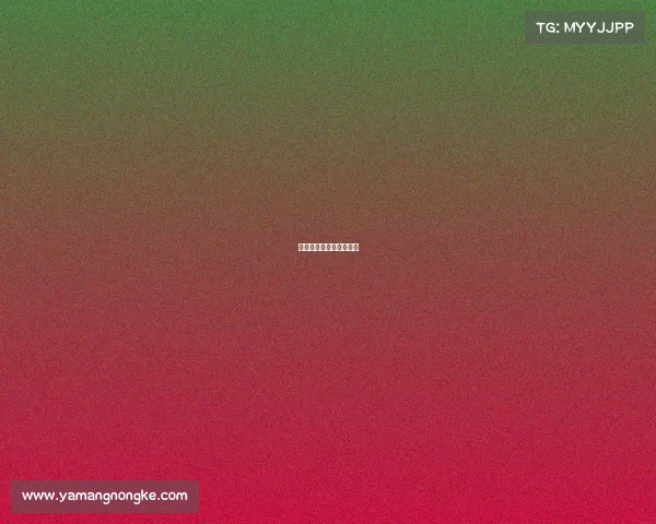 骑士总冠军比赛高清回放