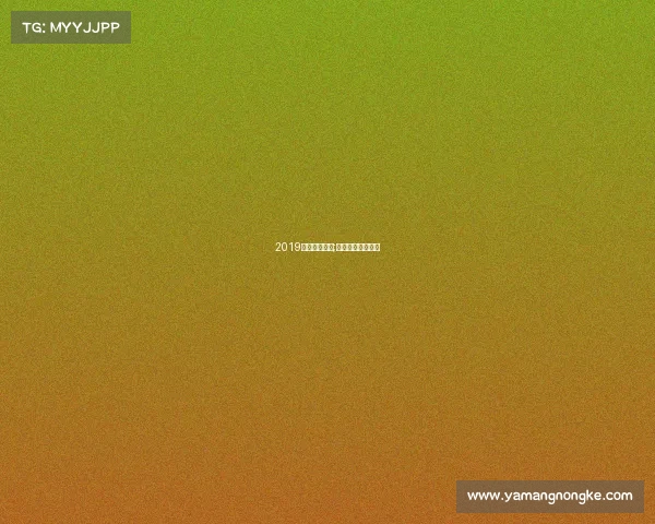 2019延安体育赛事;延安体育运动学校