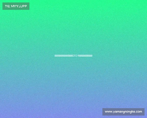 上海体育馆活动安排、上海体育馆2024年度精彩赛事安排全攻略 上海体育馆活动安排、上海体育馆2024年度精彩赛事安排全攻略