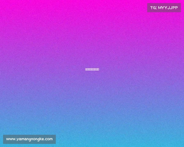 中原赛事、中原赛王