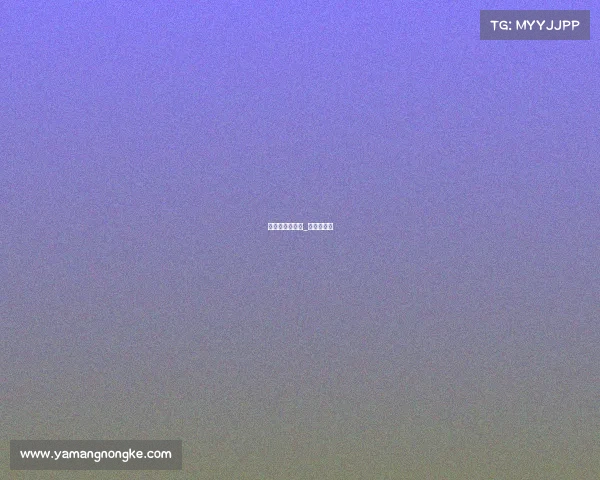 中汽联赛事计时_中汽联赛道