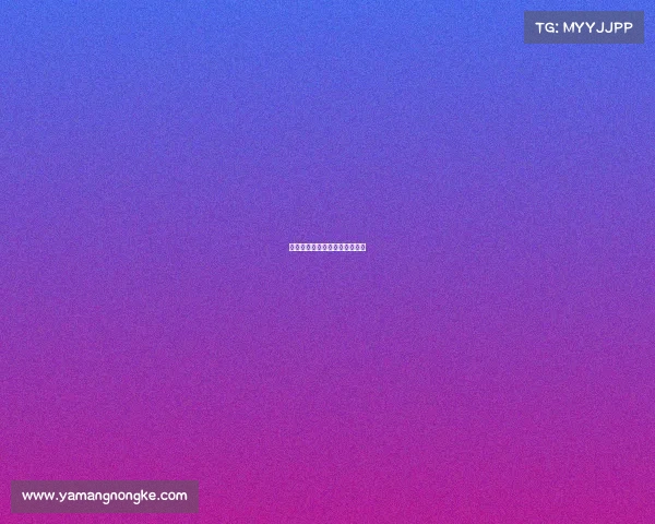 吉林排球赛事吉林省排球锦标赛