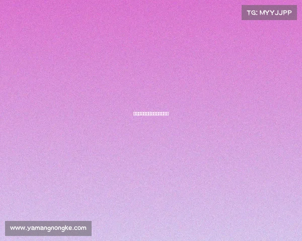 国际友谊赛事国际友谊赛是什么 国际友谊赛事国际友谊赛是什么