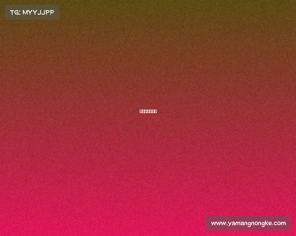 我要奥运会实况