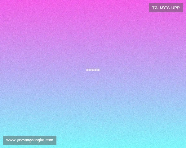 第十三届全运会赛程 第十三届全运会赛程