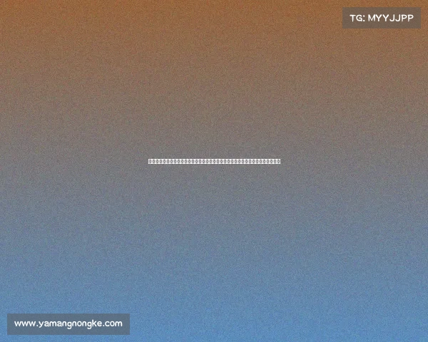 美国刘易斯拳皇的赛事—美国刘易斯拳皇世界锦标赛巅峰对决盛宴荣耀之战激情开战