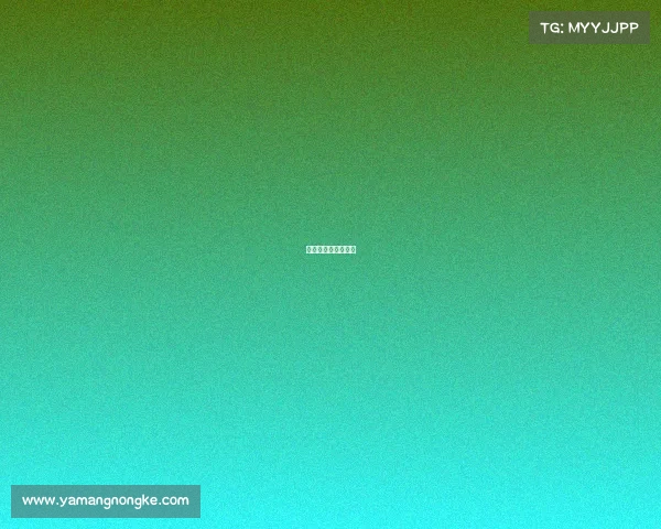 英超观赛包哪种划算 英超观赛包哪种划算