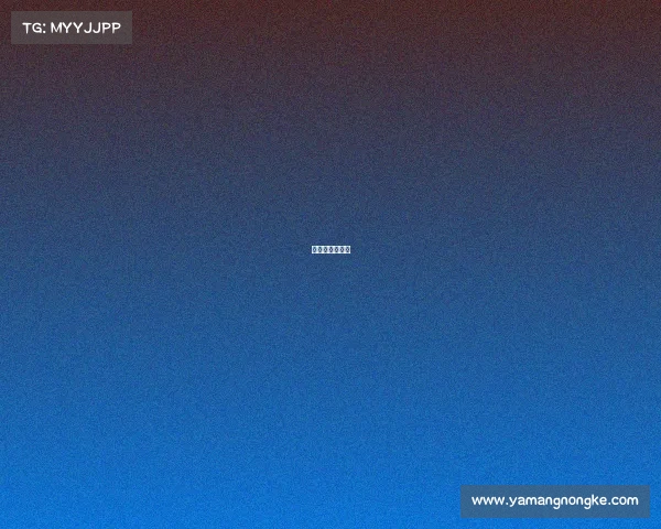 李娜夺得大满贯