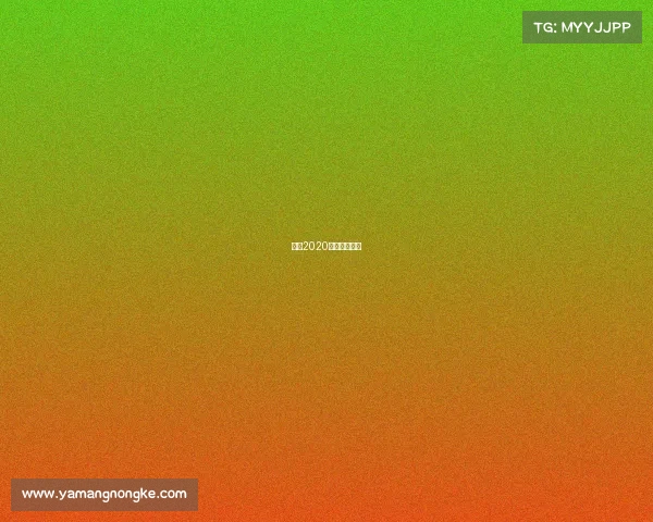 武汉2020举办国际活动