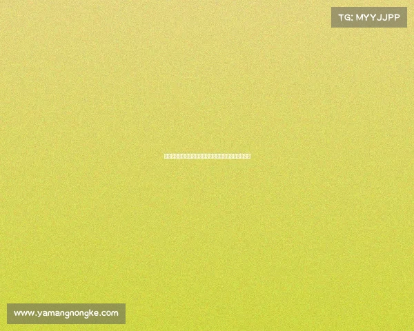 美洲杯足球锦标赛历年赛事数据分析与球队表现深度解读 美洲杯足球锦标赛历年赛事数据分析与球队表现深度解读