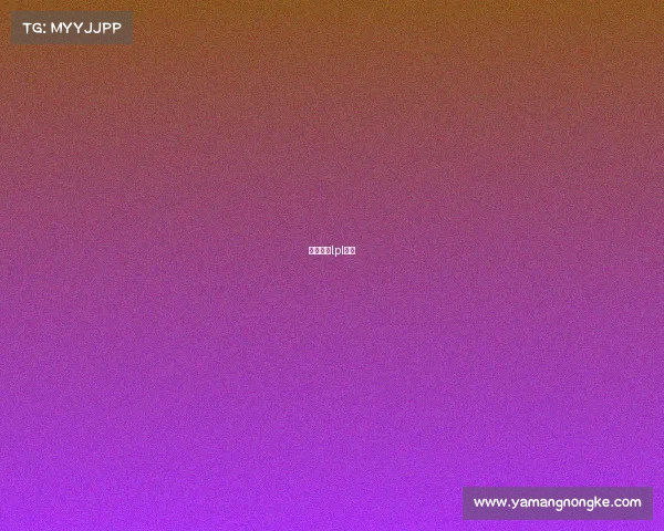 英雄联盟lpl五杀