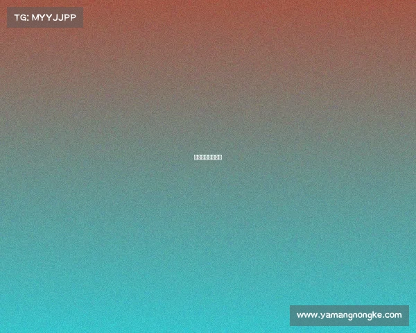 篮球洛杉矶队叫啥 篮球洛杉矶队叫啥