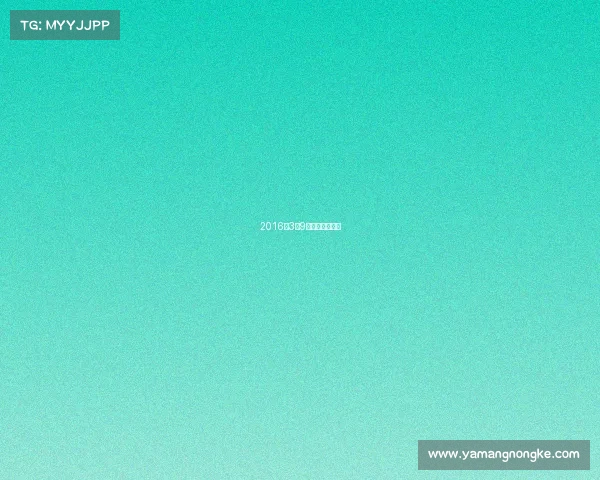 2016年3月9日围棋世界冠军