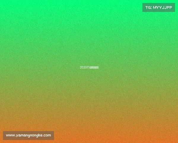 2020f1赛程具体时间 2020f1赛程具体时间