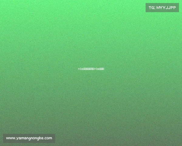 nba直播赛事安排—nba直赛程