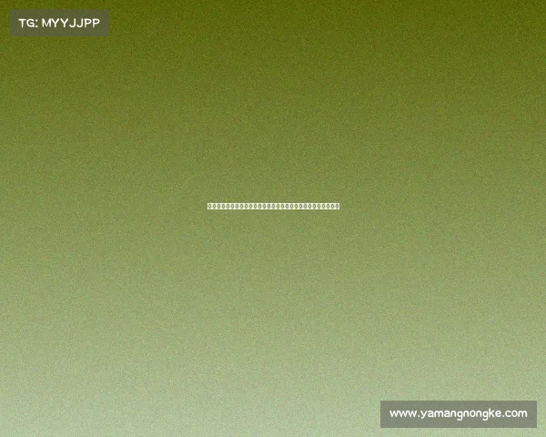 年度盛事击剑世界最高赛事世界锦标赛精英选手激烈交锋争夺冠军