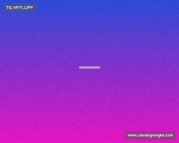 足球每天赛事足球赛事时间多长