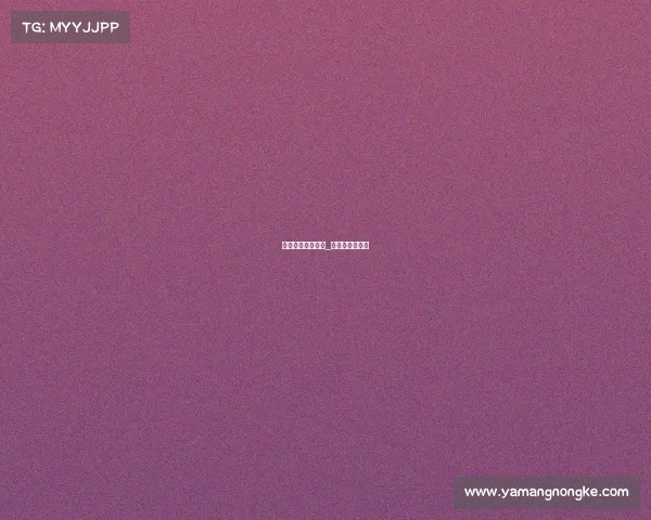 重点女排赛事项目_女排比赛的赛点