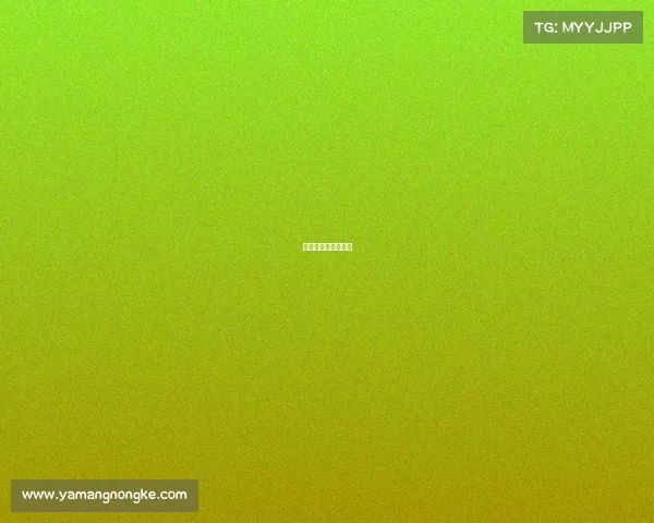 马拉松跑步赛事时间